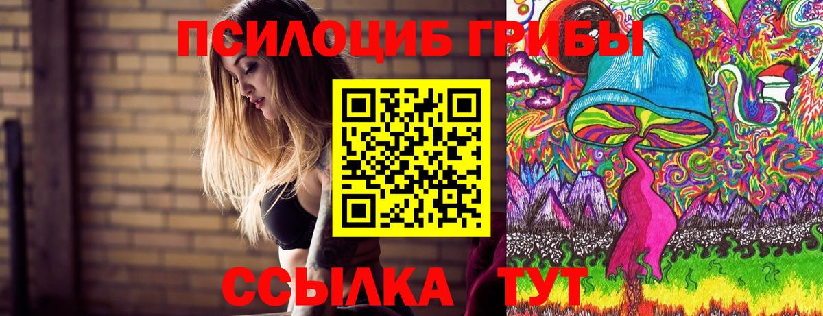 Псилоцибиновые грибы Psilocybe Ленинск-Кузнецкий