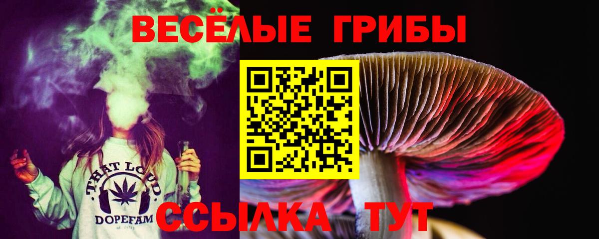 Ленинск-Кузнецкий  Галлюциногенные грибы прущие грибы  Вход с VPN  Псилоцибиновые грибы GOLDEN TEACHER 